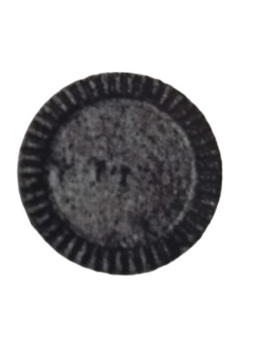 ESPALHADOR PARA QUEIMADOR PG-160 MENOR 0242-3